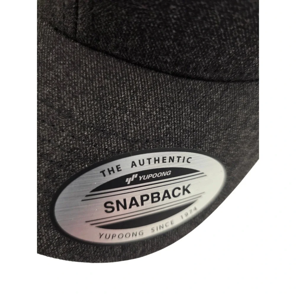 Volcom nwt snapback